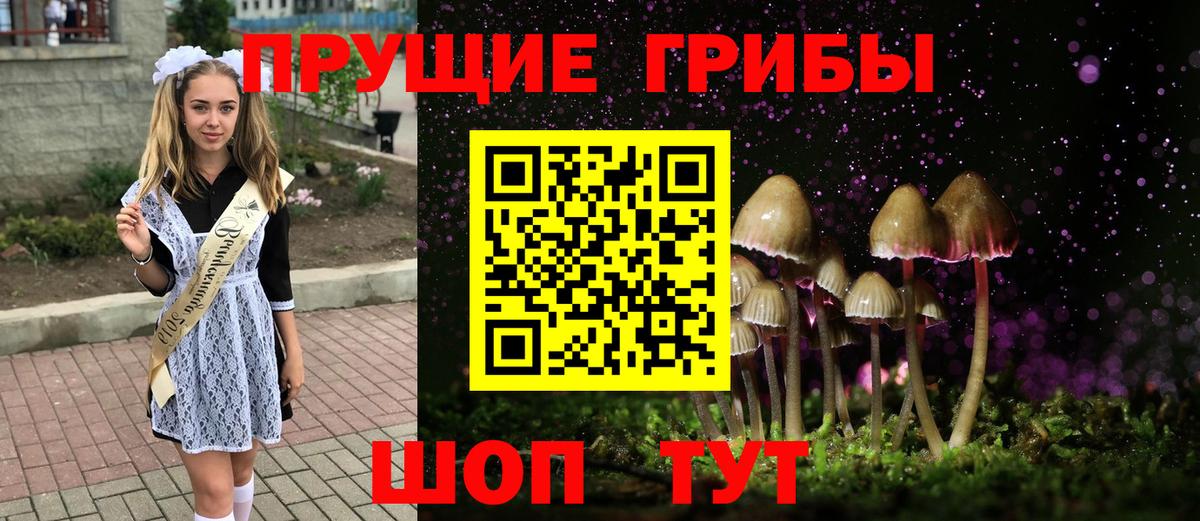 Псилоцибиновые грибы GOLDEN TEACHER Керчь