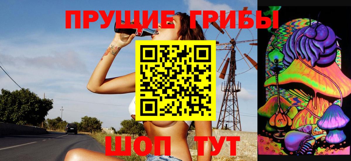 Псилоцибиновые грибы GOLDEN TEACHER  Вход с VPN  Керчь  Галлюциногенные грибы Psilocybe 